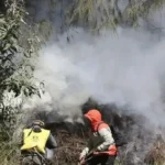 Kebakaran Gunung Batok di Tengah Perayaan Yadna Kasada