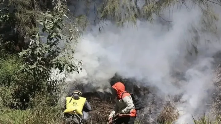 Kebakaran Gunung Batok di Tengah Perayaan Yadna Kasada