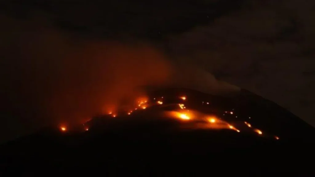 Peran BMKG dalam Mitigasi Kebakaran Hutan dan Lahan di Pulau Timor